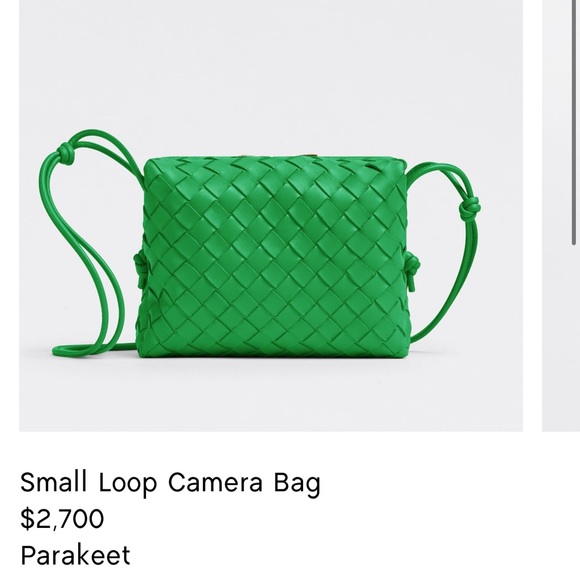 Brand new Bottega Veneta Small Loop in Parakeet - Picture 5 of 5